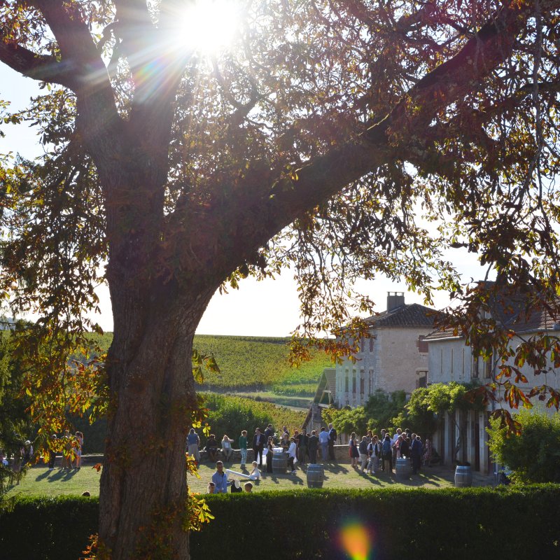 Vin d'honneur cahors